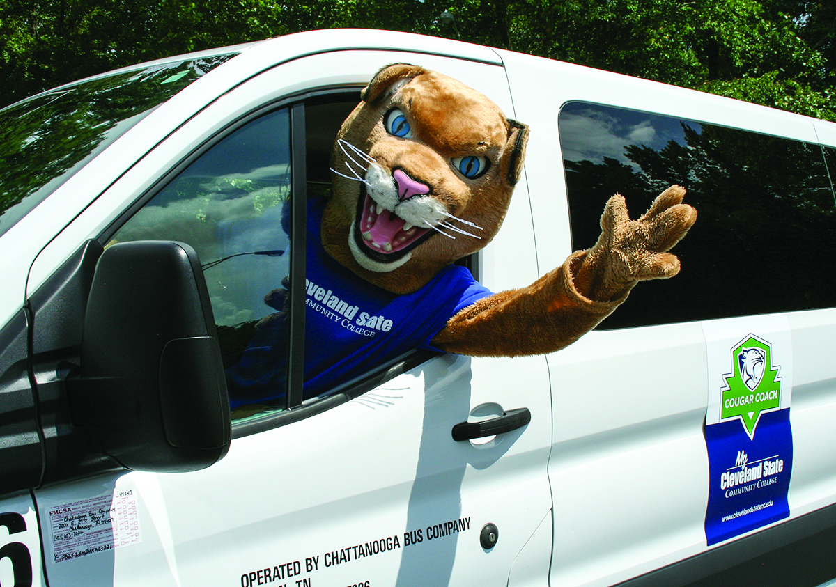 Cougar driving a van in the parking lot.